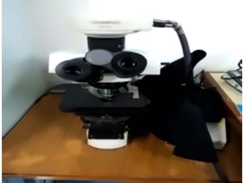 Mikroskop OLYMPUS